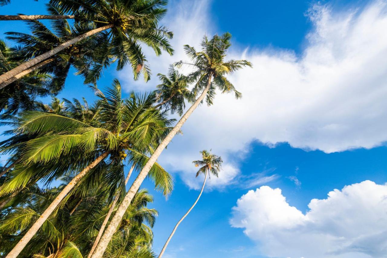 Hotel Tailana Island Pulau Banyak Alaban Zewnętrze zdjęcie